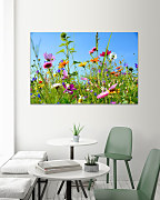 Obraz Na rozkvitnutej lúke 1460